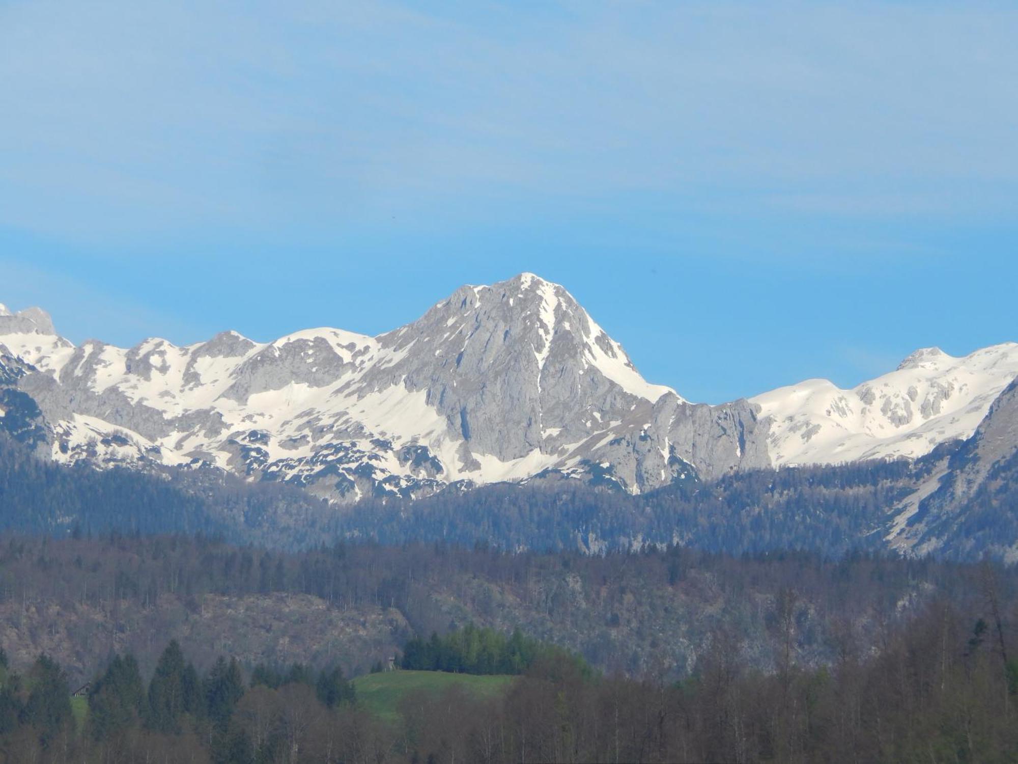Apartments Bb Bohinj Bagian luar foto