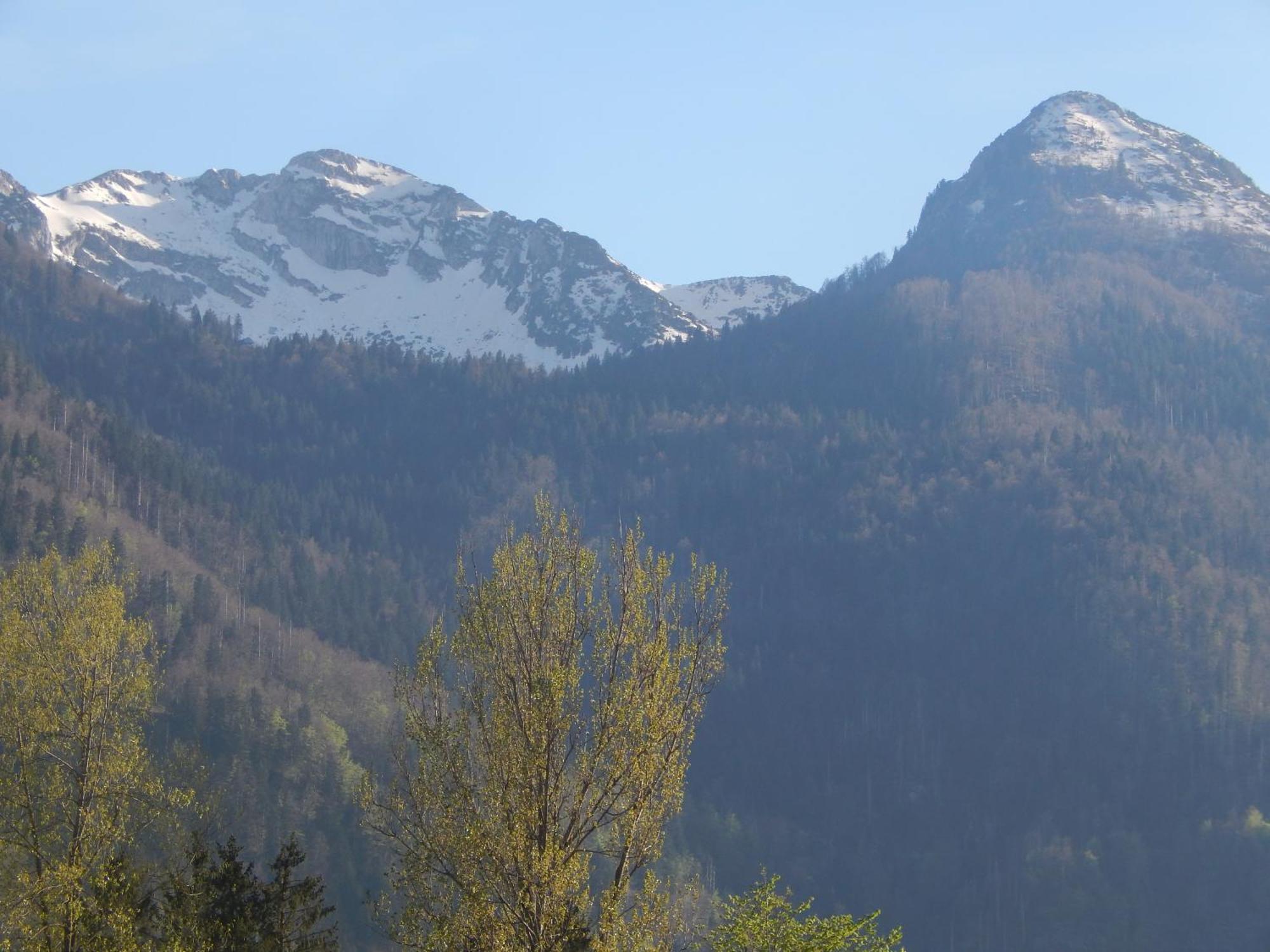 Apartments Bb Bohinj Bagian luar foto