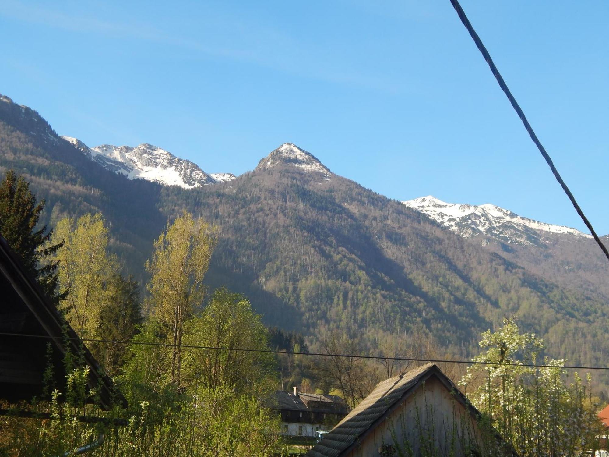 Apartments Bb Bohinj Bagian luar foto